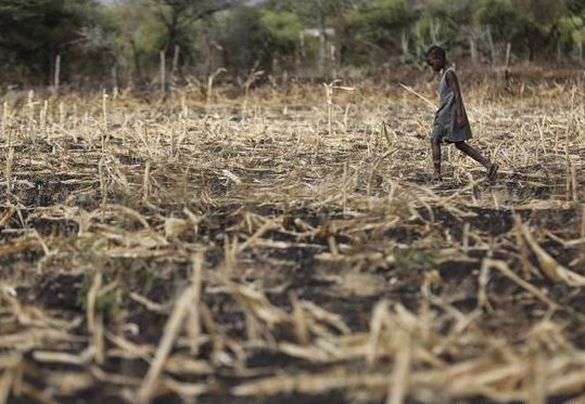 Number of Kenyans in dire need of emergency food aid doubles to 3 ...