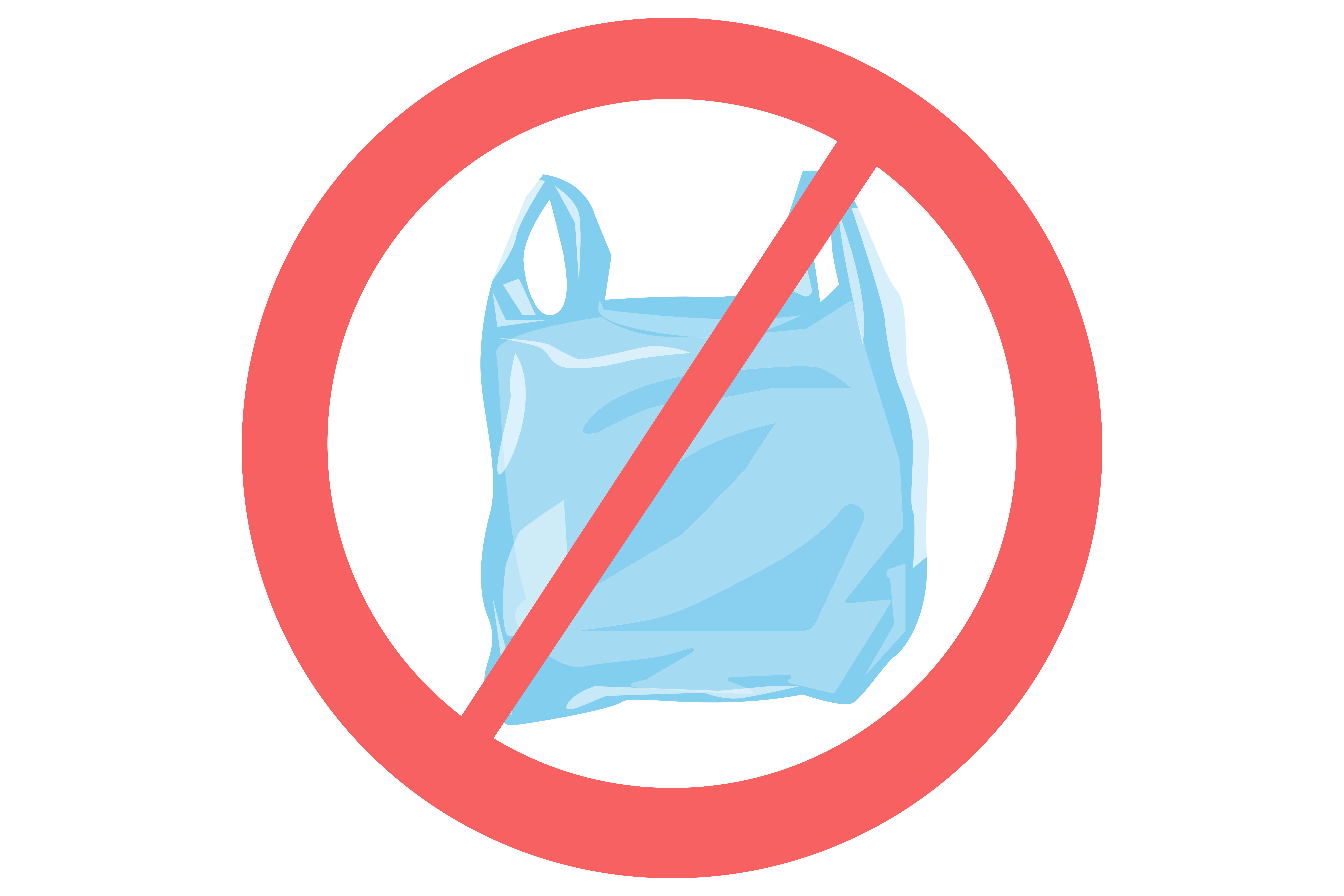 Plastic bag ban in india : A step towards sustainability-Nova