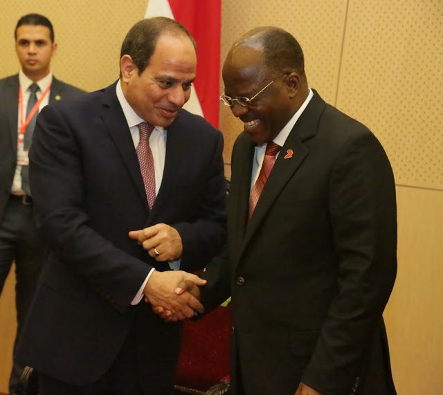 Egypt to assist Tanzania to start performing kidney surgeries before ...