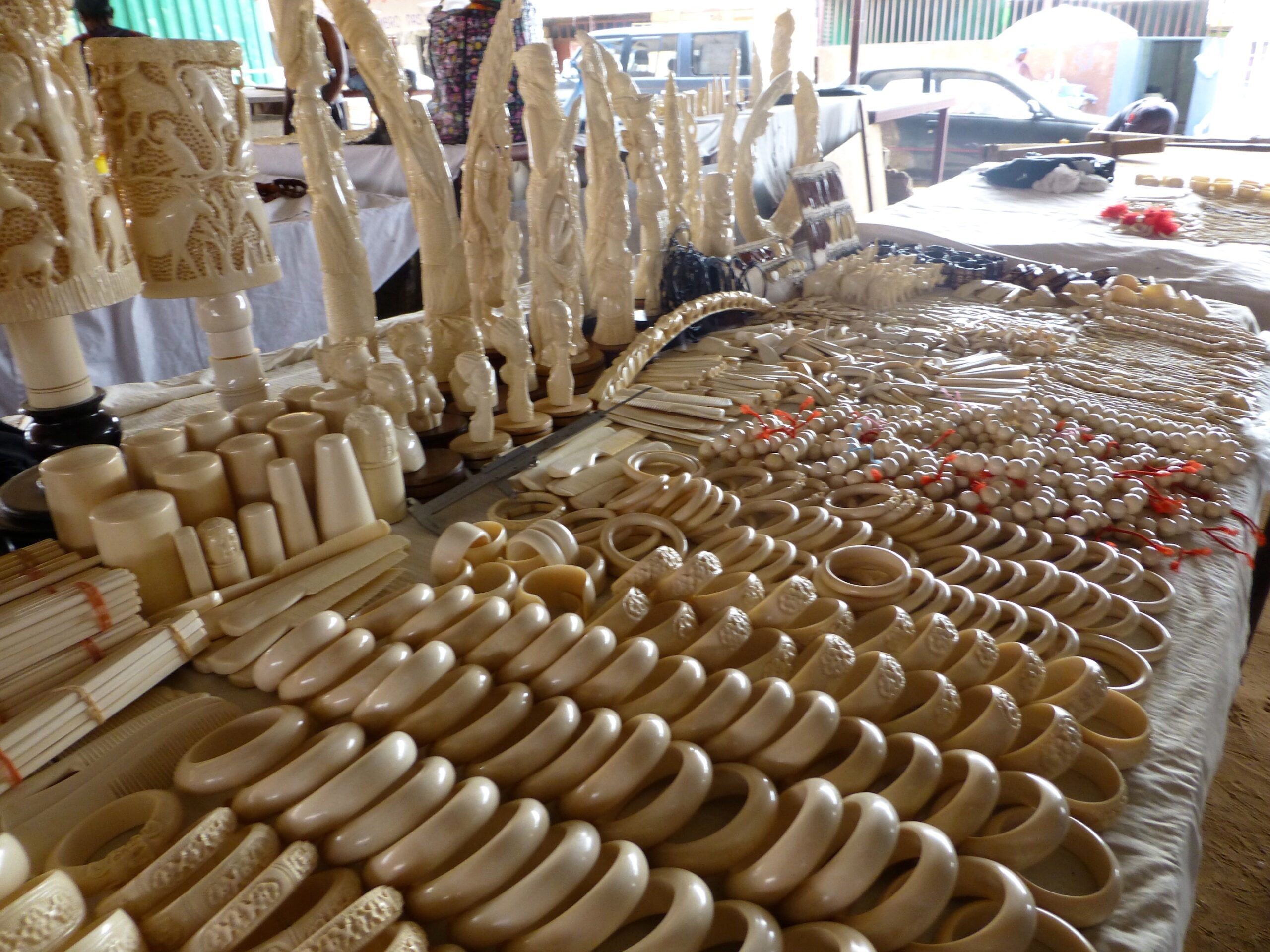 EU Under Fire For Not Supporting Global Ban On Ivory Trade CGTN Africa   Photo By MSvensson 1 Scaled 