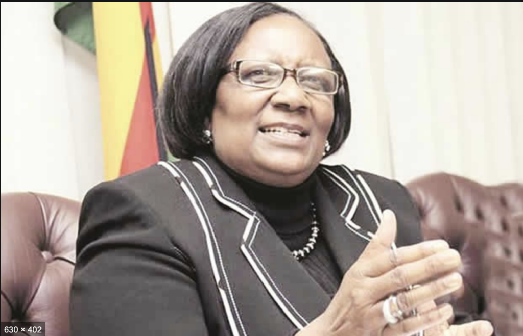 Zimbabwean president fires tourism minister - CGTN Africa