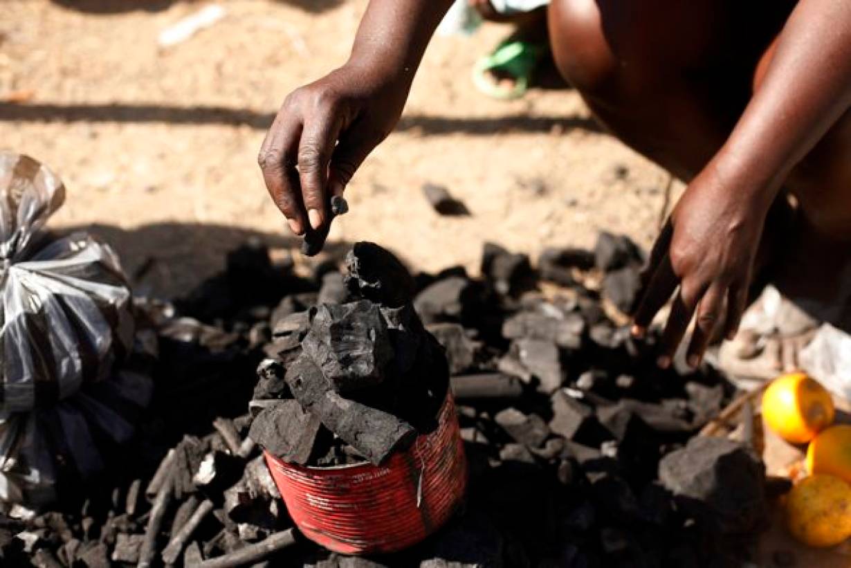 Tanzania to ban use of charcoal to save forests - CGTN Africa