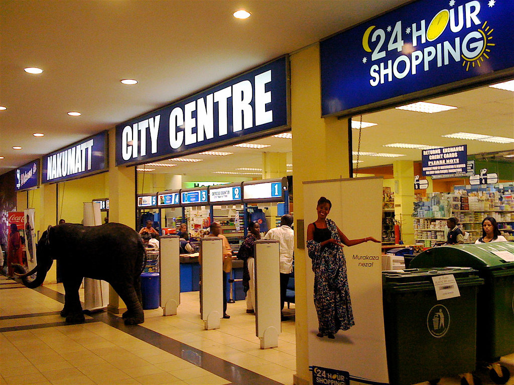 Kenya Based Supermarket Giant Nakumatt Seeking Capital To Stay Afloat   Nakumatt Elephant 