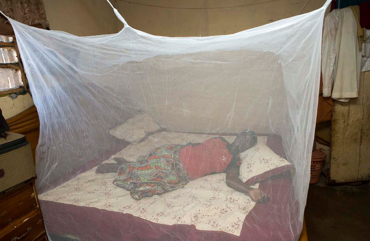 8.4 million mosquito nets distributed as part of malaria control effort -  CGTN Africa