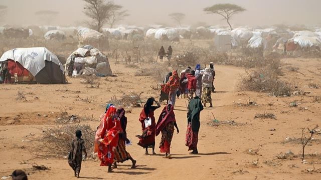 UN to launch $3 million project for Dadaab returnees - CGTN Africa