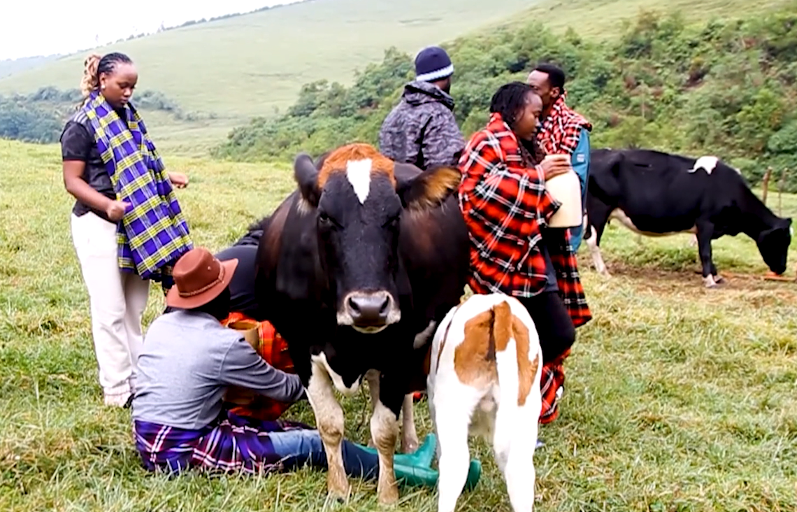 Cattle keeper revives Rwanda’s heritage through cow tourism - CGTN Africa